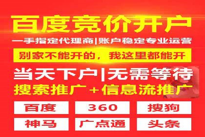 专业SEM代运营托管公司案例分析